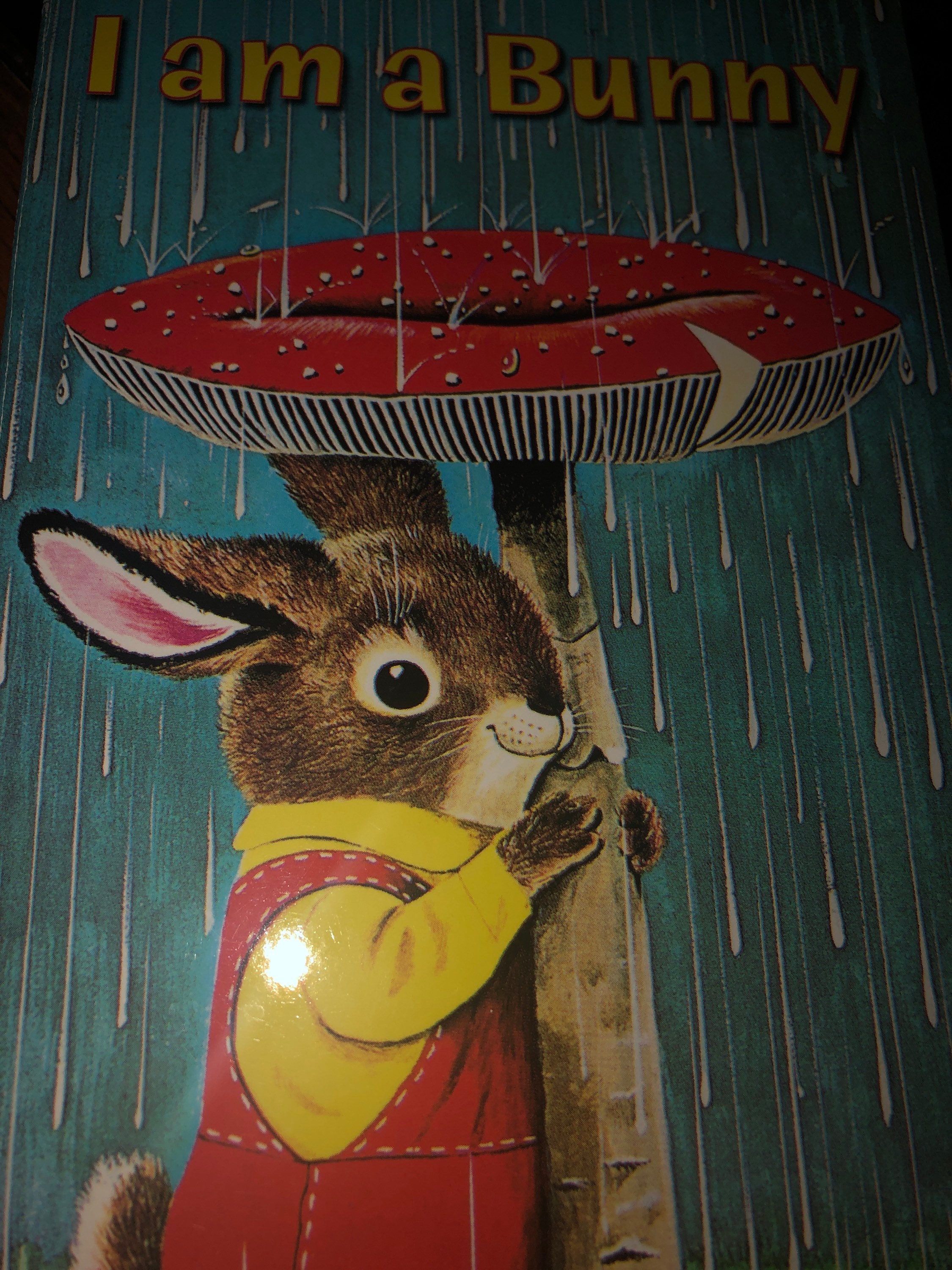 I am a Bunny Richard Scarry A Golden Sturdy Book うさぎのニコラス 