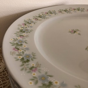 Johann Haviland Forever Spring dinner plate