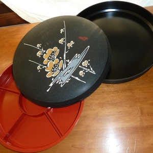 Japanese Asian Rice Bowl Serving Dish w/ Divided Insert