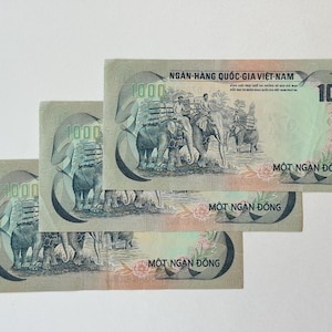 1000 vietnam dong - Etsy 日本