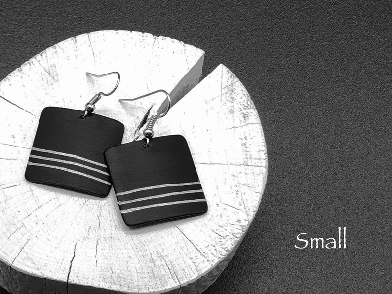 Anodized aluminum earrings