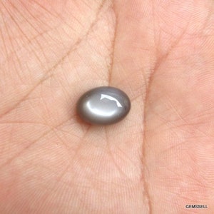 May include: A gray oval-shaped gemstone with a star-like reflection.