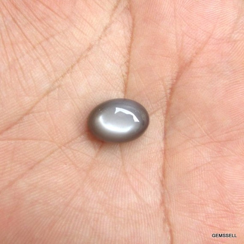 May include: A gray oval-shaped gemstone with a star-like reflection.