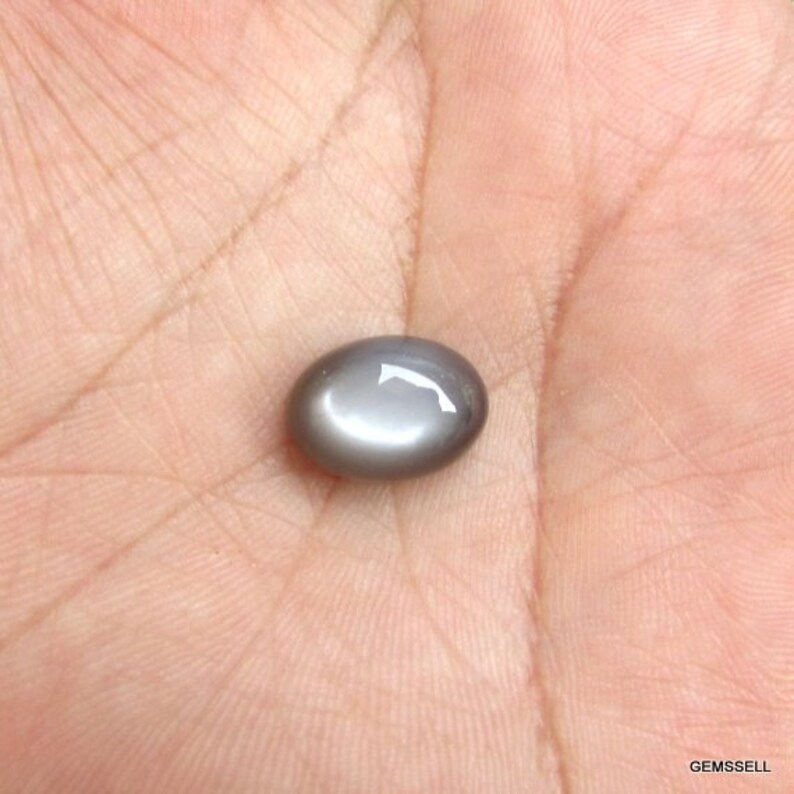May include: A gray oval-shaped gemstone with a star-like pattern.