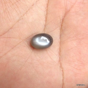 May include: A gray oval-shaped gemstone with a star-like pattern in the center.