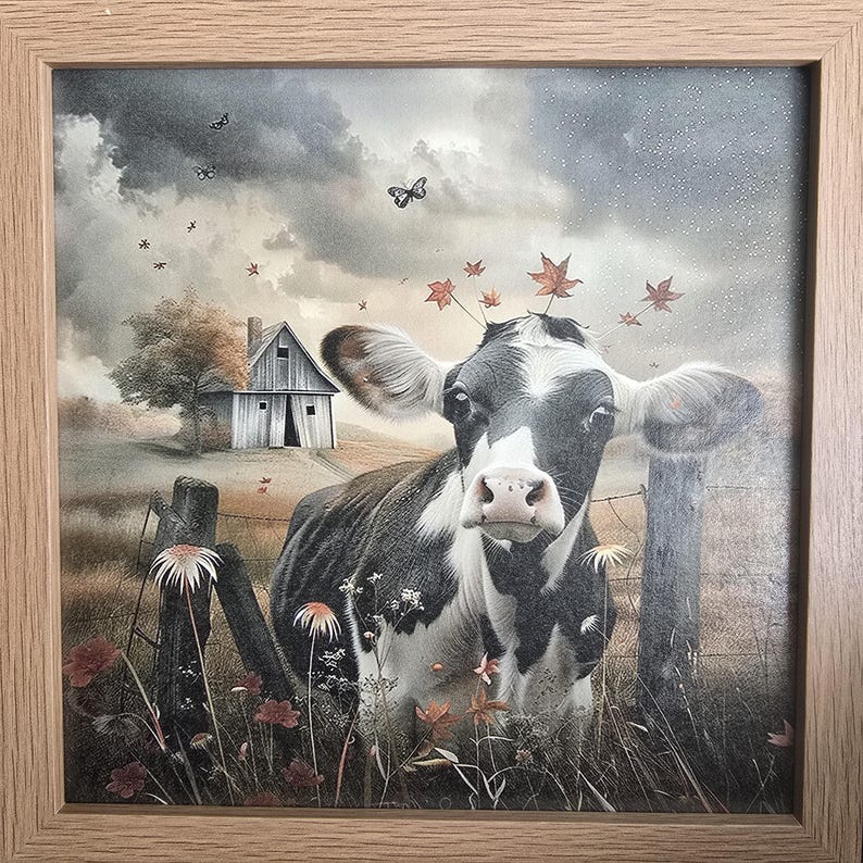 May include: A black and white cow with a gentle expression stands in a field of wildflowers. The cow has a few autumn leaves on its head. A small wooden barn is in the background.