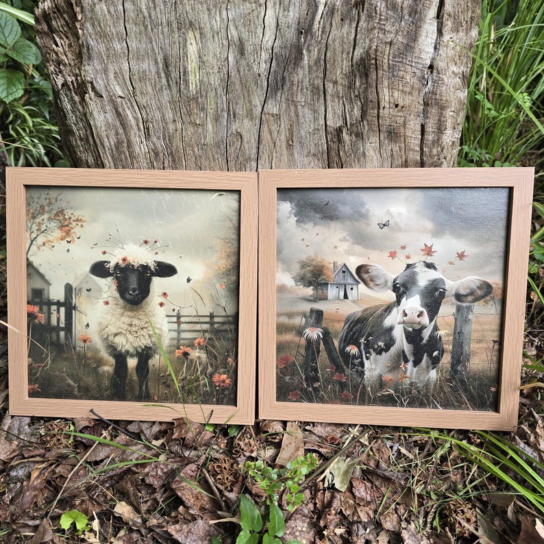 May include: Two framed canvas prints with a rustic theme. The left print features a white sheep with black face and legs standing in a field with red flowers. The right print features a black and white cow standing in a field with red flowers and a small wooden barn in the background.