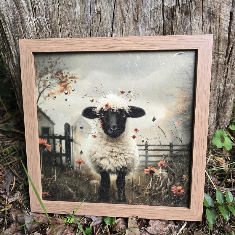 May include: A framed print of a black and white sheep wearing a crown of flowers. The sheep is standing in a field with a fence and a farmhouse in the background. The image has a vintage, faded look.