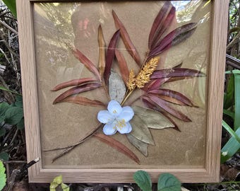 Natural Wall Art Framed Australian Dried Leaves Arrangement