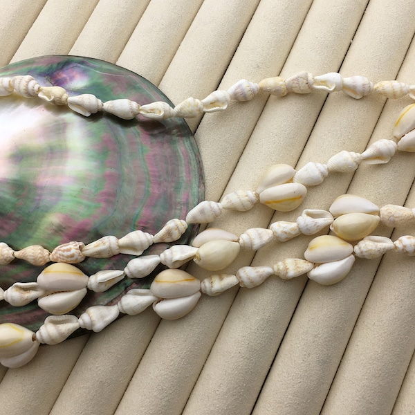 35'' Conch Shell necklace,NPN1-T15