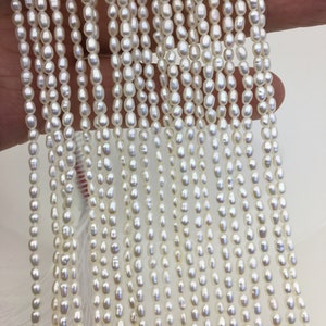 AAA 2.5-2.7mm * 3.5-4.5mm white rice pearls,genuine pearl,Cultured pearl,diy pearl beads,LR2-3A-21