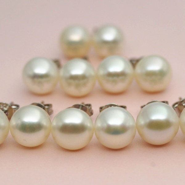 Set of 6 to Set of 15 stud earrings,4mm to 8mm ivory/white FreshWater pearl earrings,button round,bridesmaid earrings,pearl stud ,SE1-008