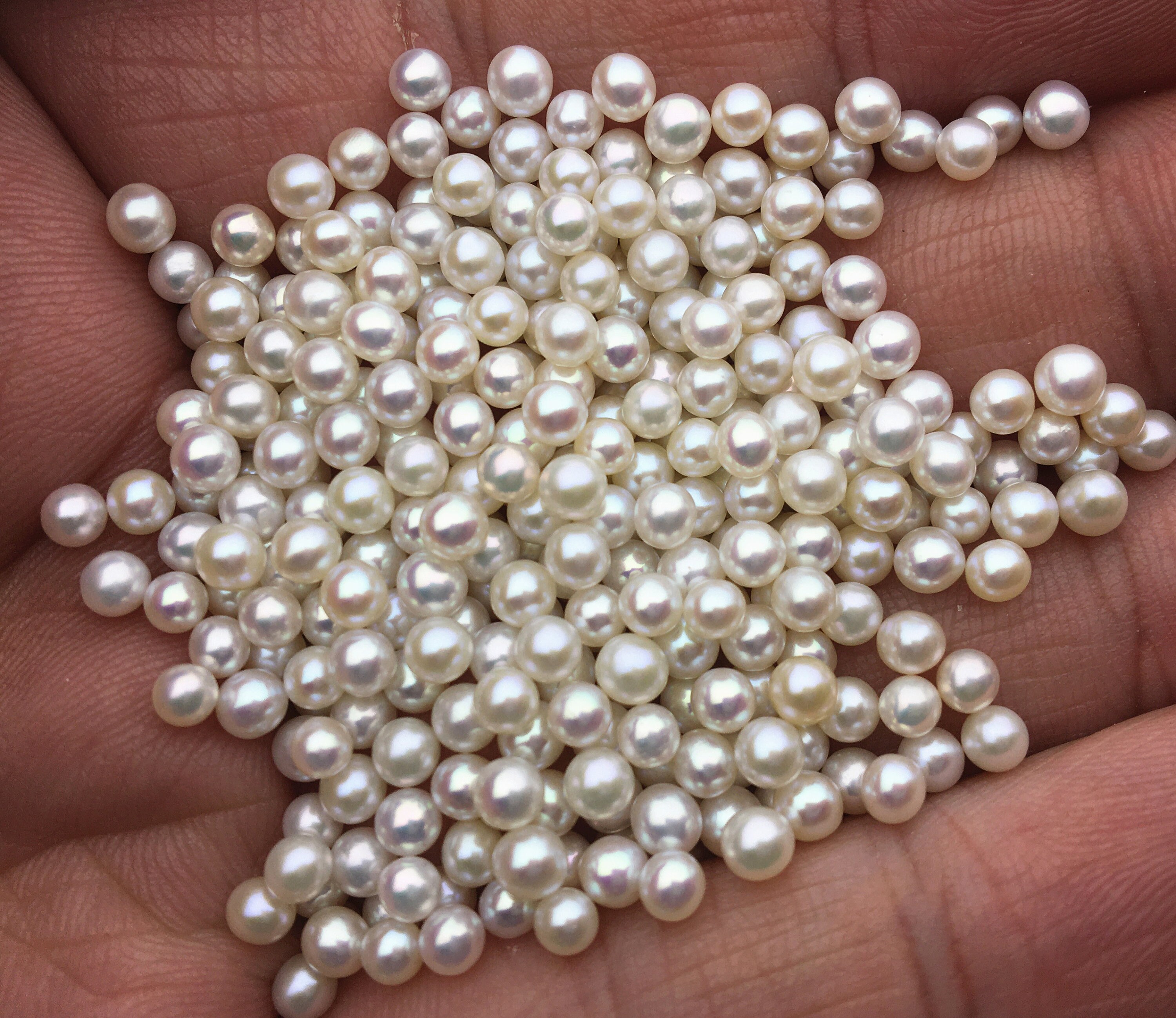 Bunch Small Pearl Beads Isolated White Stock Photo 1594033624