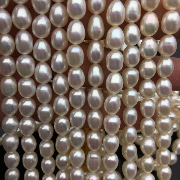 Rare!high luster AAA+ 6.3-7.3mmx8-9.5mm white rice freshwater pearls,LR7-3A-82