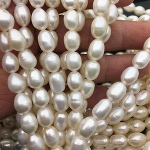 May include: A strand of white oval-shaped freshwater pearls. The pearls are smooth and lustrous.