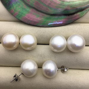May include: Six white pearl earrings with silver posts and backs are displayed. The pearls are round and have a lustrous sheen. A large, iridescent shell fragment is in the background, adding a touch of natural beauty to the presentation.