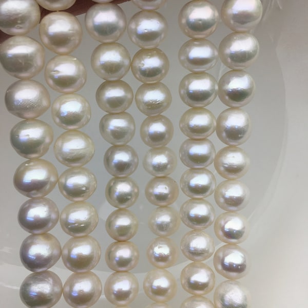 15.5'' AA 11-13mm white button round Edison Freshwater Pearl,ED12-T9