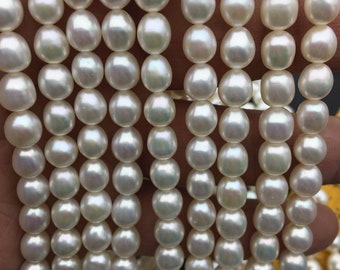 AAA+ 7-8mm*7-8.5mm white oval freshwater pearls,LR7-3A-73