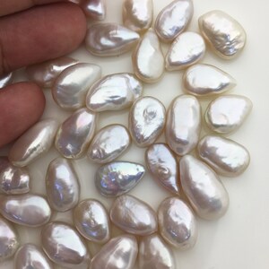 15pcs AAA 10-12mm White Teardrop Coin freshwater pearls,diy bead, no hole,COIN10-3A-1-2