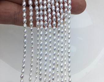 AAA 2.5-3x3-4mm white rice pearls,genuine pearl,Cultured pearl,diy pearl beads,LR2-3A-21