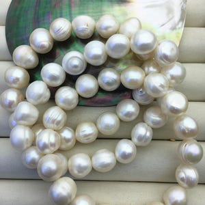 May include: A strand of lustrous, off-white pearls, each with a unique shape and surface texture. The pearls are arranged in a flowing, curved line, resting on a white surface. A large, iridescent seashell provides a backdrop.