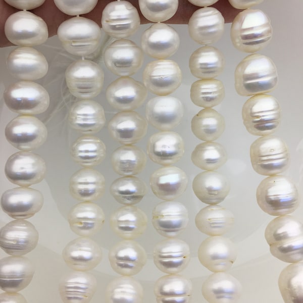 AA 11.5-14mm Very Big thick button round freshwater pearl strand,loose freshwater pearl,button pearl,SM13-2A-3
