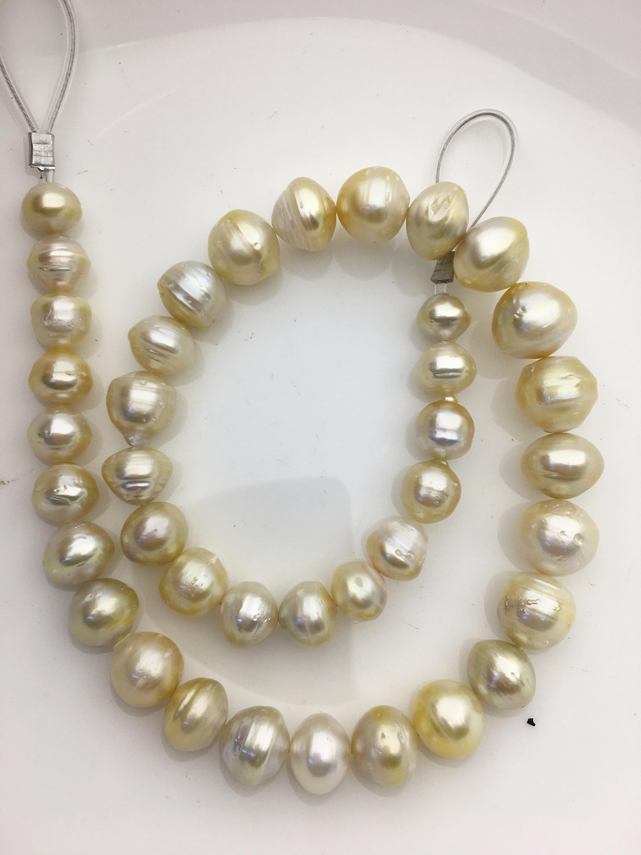 16'' 9-14 mm ゴールド 南洋ボタン ラウンド パール、天然ゴールド