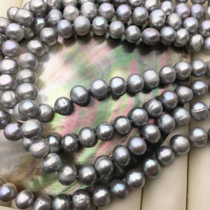 May include: A strand of gray freshwater pearls, with a slight iridescent sheen, arranged on a shell background.