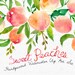 Watercolour Clipart Set. Handmade, watercolour clipart, summer, wedding diy elements, fruit - Sweet Peaches
