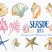 Watercolor Sea Shells Clipart, Instant Digital Download, Hand-Painted Ocean, Beach, and Nature Graphics- Seaside Part 1