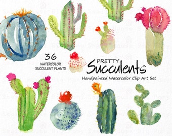 Watercolour Floral Clipart. Handmade, watercolour clipart, wedding diy elements, flowers - Pretty Succulents