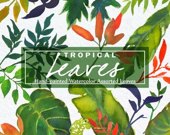 Watercolour Tropical Leaves Clipart. Handmade, watercolour clipart, wedding diy elements, leaves - Tropical Leaves