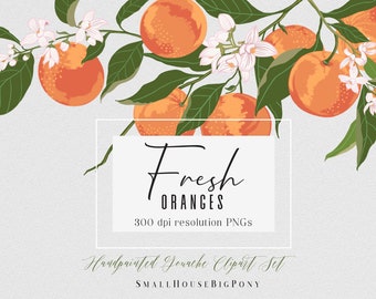 Fresh Oranges Clipart Set. Handmade, gouache clipart, summer, wedding diy elements, fruit - Fresh Oranges