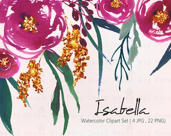 Watercolour Floral Clipart: Watercolour Clip Art/Rose/Individual PNG files/Hand Painted- Isabella