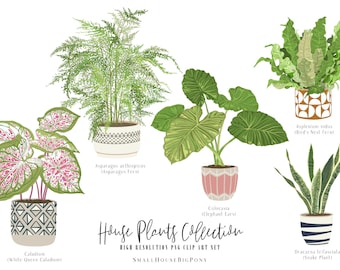 Tropical houseplant Plant Set 4 - plants clip art,Digital indoor plants,potted plant clip art, Printable,Instant Download,PNG