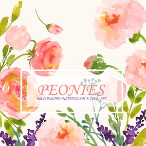 Watercolour Floral Clipart. Handmade, watercolour clipart, wedding diy elements, flowers - Peonies