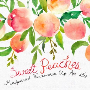 Watercolour Clipart Set. Handmade, watercolour clipart, summer, wedding diy elements, fruit - Sweet Peaches