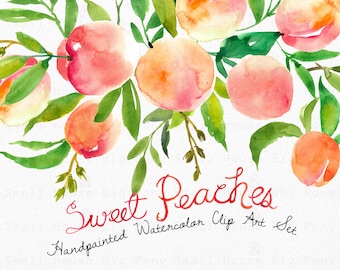 Watercolour Clipart Set. Handmade, watercolour clipart, summer, wedding diy elements, fruit - Sweet Peaches