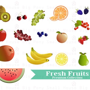 Fresh Fruits Clipart, Fruits Clip art, Mango Clipart, oranges clip art, currant clip art, blueberries clip art, bananas clipart,