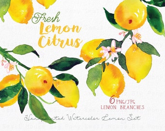 Lemon Watercolour Clipart Set. Handmade, watercolour clipart, summer, wedding diy elements, fruit - Fresh Lemon Citrus