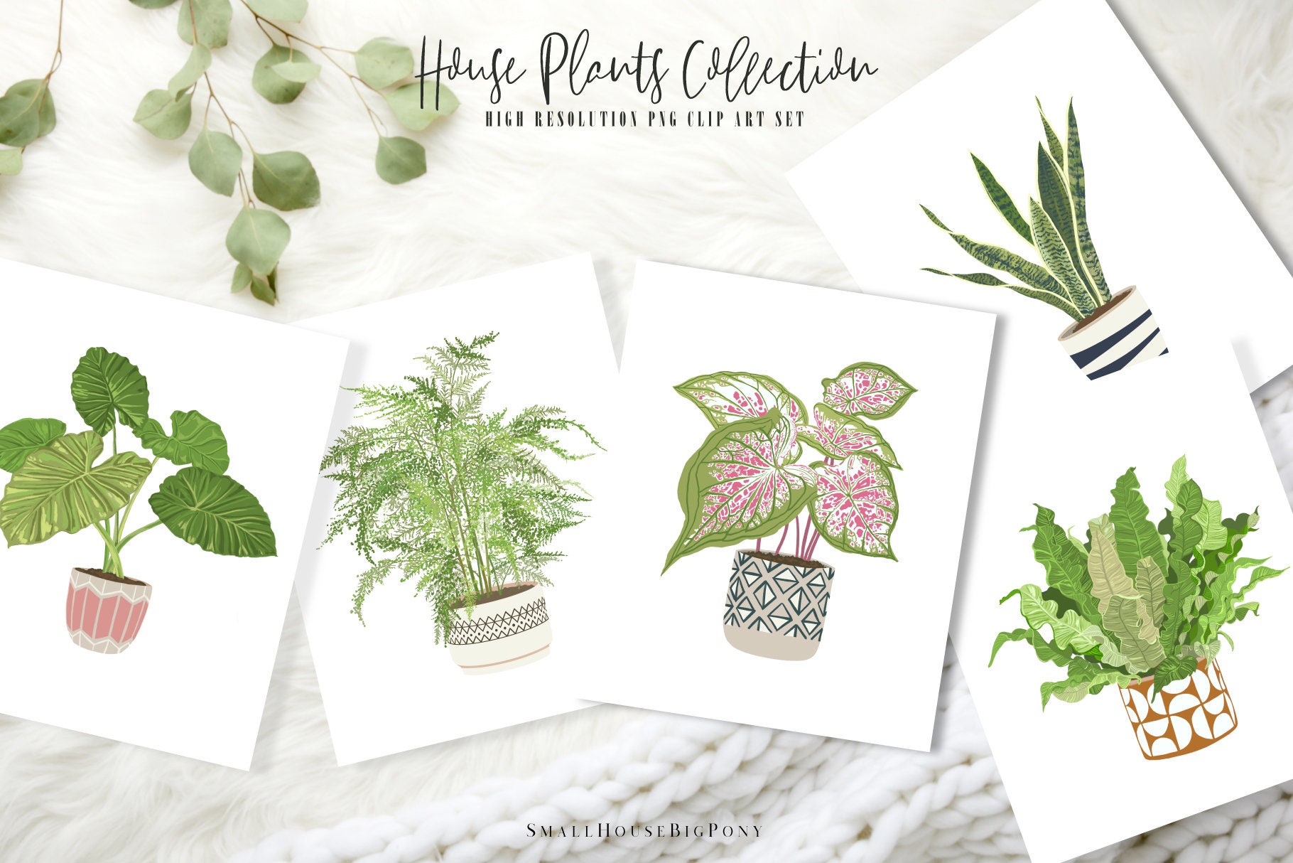 Tropical houseplant Plant Set 4 plants clip artDigital | Etsy