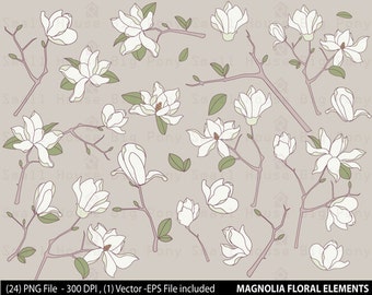 Magnolia Flower Clip art, Clipart -digital clip art set -24 PNG files and 1 Vector included in Zip