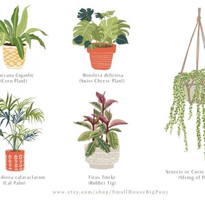 Aquarel tropische kamerplant Plant Set 1 - planten clip kunst, Digitale kamerplanten, pot plant clip art, Afdrukbaar, Instant Download, PNG