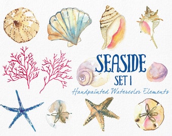 Watercolor Sea Shells Clipart, Instant Digital Download, Hand-Painted Ocean, Beach, and Nature Graphics-  Seaside Part 1