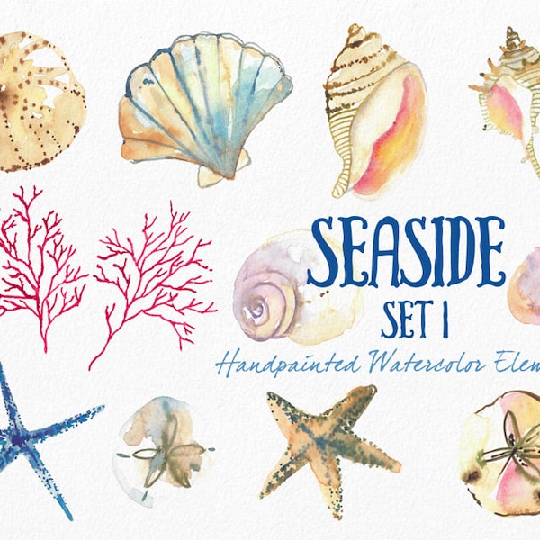 Watercolor Sea Shells Clipart, Instant Digital Download, Hand-Painted Ocean, Beach, and Nature Graphics-  Seaside Part 1