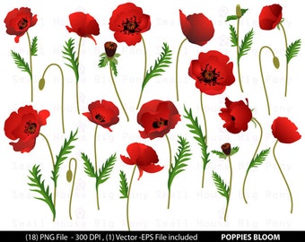 Maki clipart, cyfrowe clipart, nowoczesne kwiaty - Maki Kwiatowe - Cyfrowe Clip Art