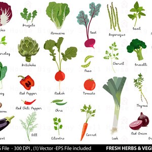 Vegetable Digital Clipart, Fresh Herbs Clipart, Vegetable Clip Art, Herbs Clipart, Fresh Vegetables Clip Art, Food Clipart, Produce Clip Art