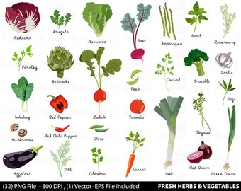 Vegetable Digital Clipart, Fresh Herbs Clipart, Vegetable Clip Art, Herbs Clipart, Fresh Vegetables Clip Art, Food Clipart, Produce Clip Art