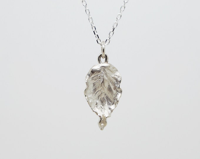 Silver Beech Leaf Pendant and Chain - Solid Silver Beech Leaf Pendant - Handmade in Cornwall - Douglas Hughes Fine Jewellery