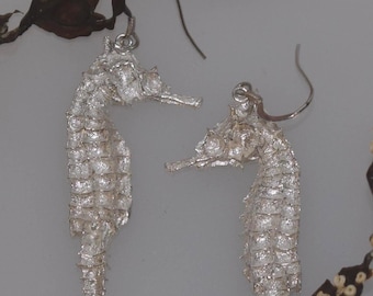 Solid Silver Seahorse Drop Earrings - Handmade Douglas Hughes Design